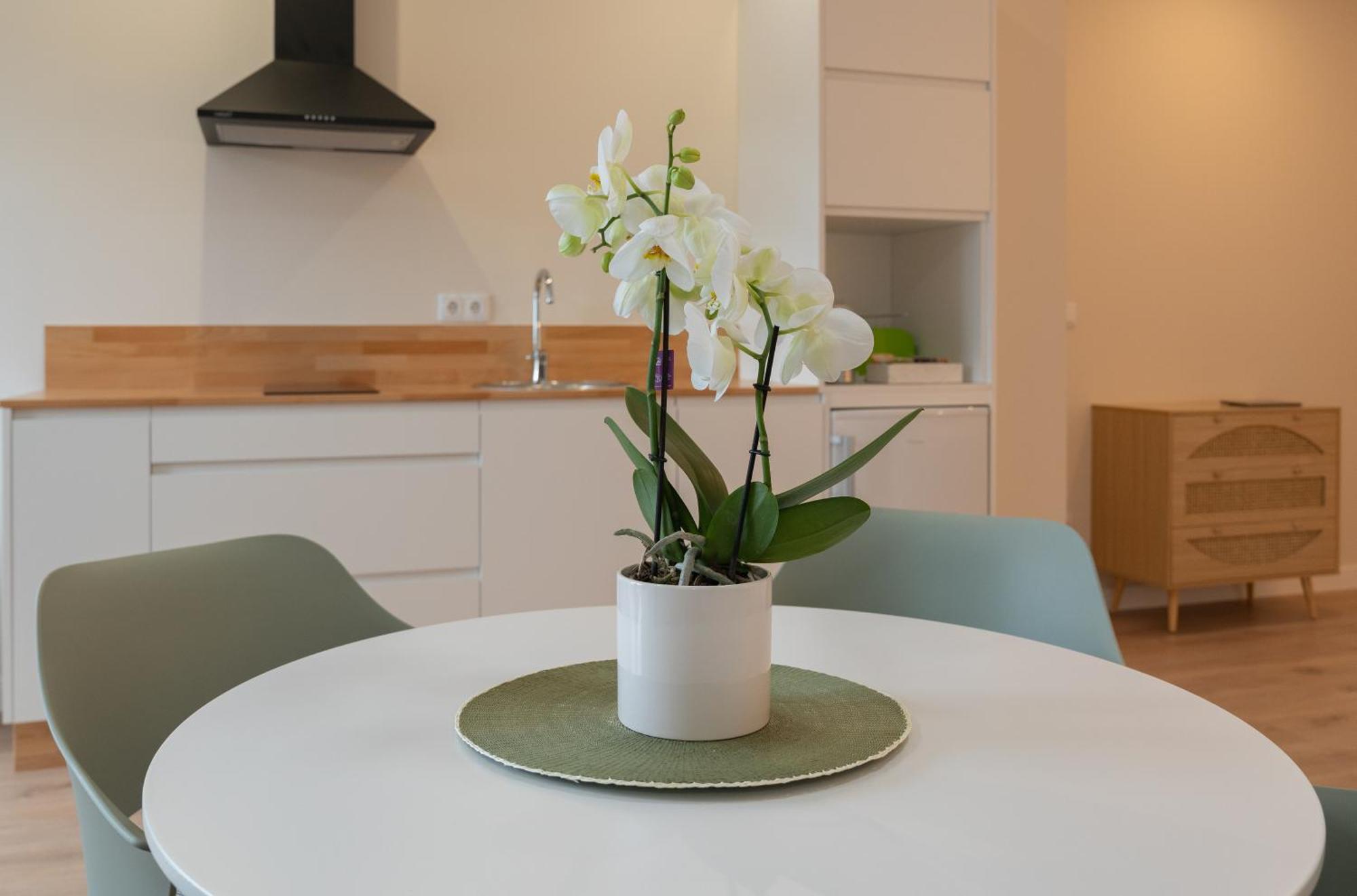At Negreira No Camino Apartment Phòng bức ảnh